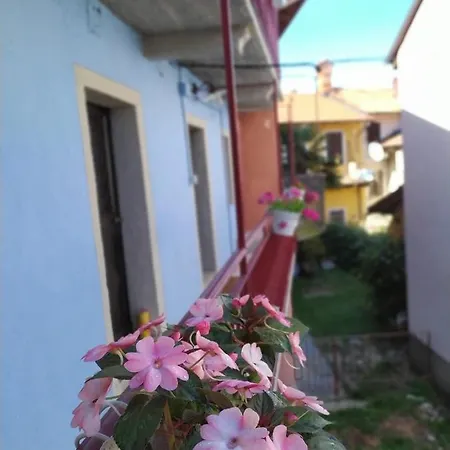 Nyaraló La Celestina *